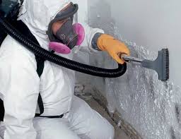 Best Mold Remediation for Healthcare Facilities  in Queens, NY